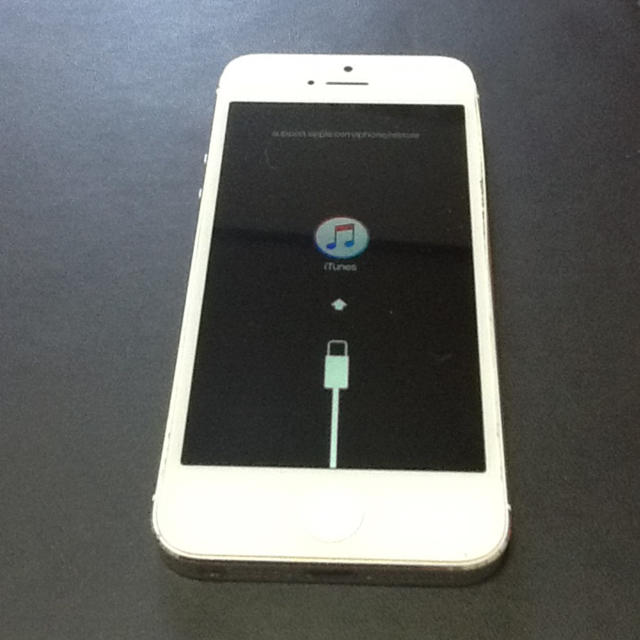 Apple(アップル)のiPhone 5 ホワイト スマホ/家電/カメラのスマートフォン/携帯電話(スマートフォン本体)の商品写真