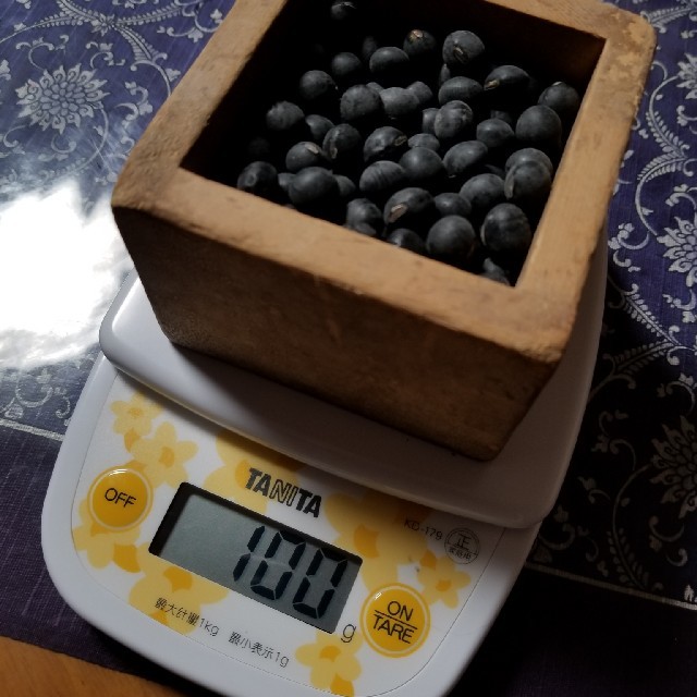 限定特価【新豆M・900g】2019年 丹波種 丹波黒大豆 近江産 ダイエット 食品/飲料/酒の食品(米/穀物)の商品写真