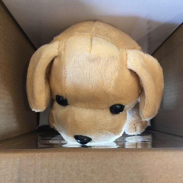 こえマネ わんちゃん【新品・即購入OK】の通販 by しろこ's shop こえマネ わんちゃん【新品・即購入OK】の通販 by しろこ's shop