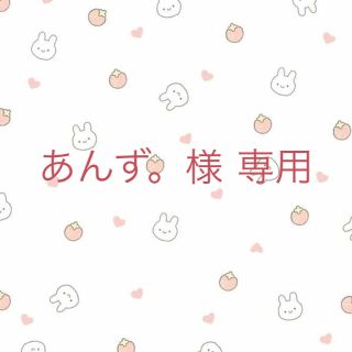 あんず。様 専用(その他)