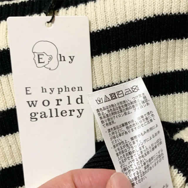 E hyphen world gallery(イーハイフンワールドギャラリー)のボーダー ニット セーター レディース イーハイフン 洗濯可 リブ レディースのトップス(ニット/セーター)の商品写真