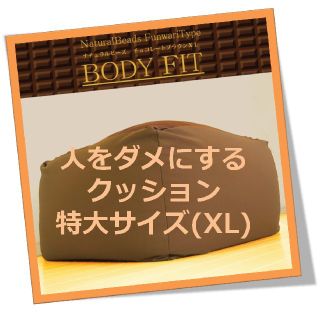 【使用方法注意笑】人をダメにする ビーズ クッション XL チョコレートブラウン