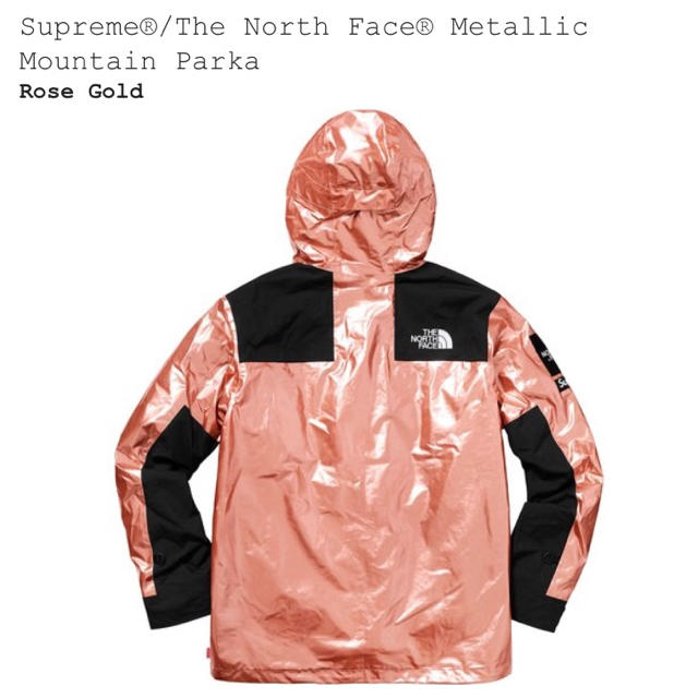 Supreme(シュプリーム)のsupreme the north face Lサイズ メンズのジャケット/アウター(マウンテンパーカー)の商品写真