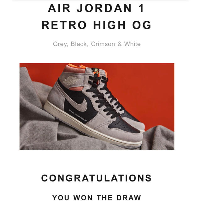 AIR JORDAN 1 RETRO HIGH OG 28センチ