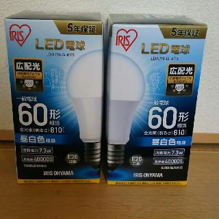 アイリスオーヤマ(アイリスオーヤマ)のLED電球 ２つ(蛍光灯/電球)