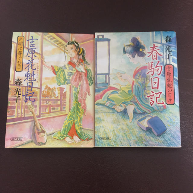 ひめか.s様専用 森光子 春駒日記 吉原花魁日記 光明に芽ぐむ日 2冊セット エンタメ/ホビーの本(文学/小説)の商品写真