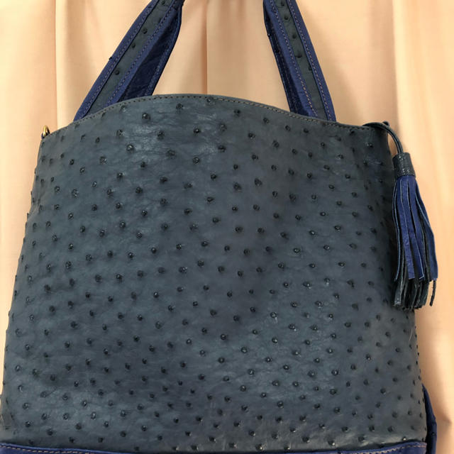 今季ブランド オーストリッチ 2Wayバッグ ショルダーバッグ - printwise.ie