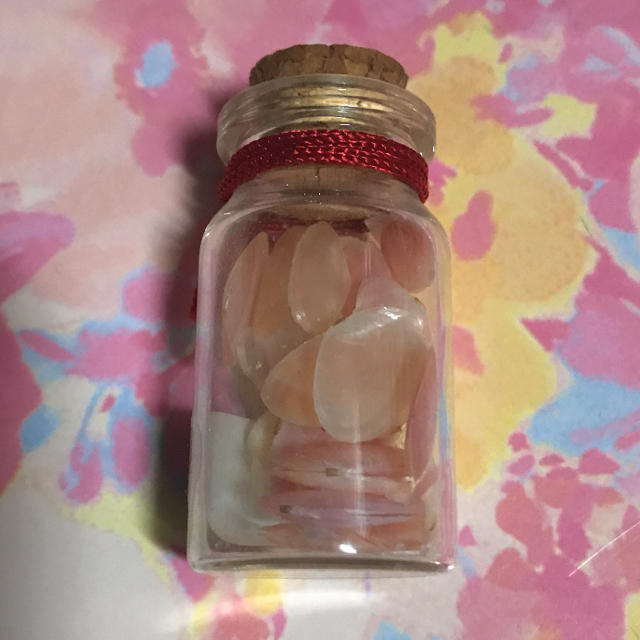 桜貝 小瓶 お土産 さくら貝 インテリア/住まい/日用品のインテリア小物(置物)の商品写真