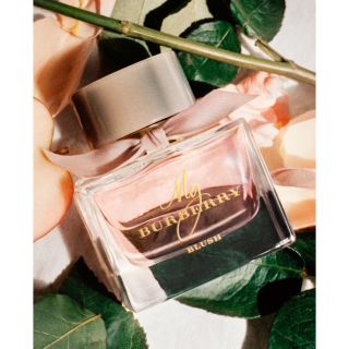 バーバリー(BURBERRY)のマイバーバリー ブラッシュ オードパルファム 50mL(香水(女性用))