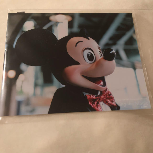 Disney(ディズニー)のディズニー イマジニングオブマジック 写真 エンタメ/ホビーのおもちゃ/ぬいぐるみ(キャラクターグッズ)の商品写真