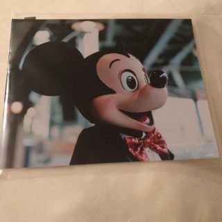 ディズニー(Disney)のディズニー イマジニングオブマジック 写真(キャラクターグッズ)