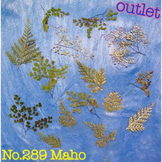 ♡outlet♡押し花素材♡green MIX♡(各種パーツ)
