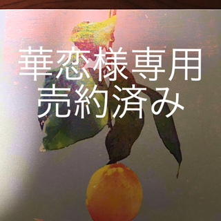 米津玄師 Lemon 初回盤 映像盤 武道館LIVE DVD付(ポップス/ロック(邦楽))
