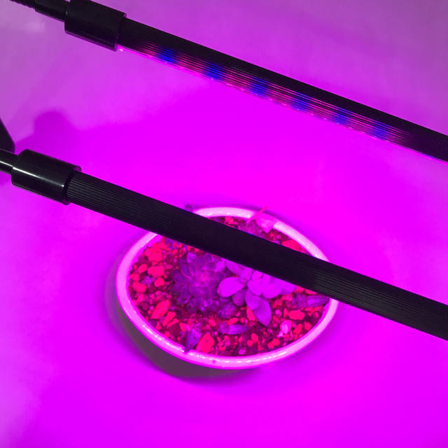 植物 育成 ライト Led 光合成の通販 By 粲アキ ラクマ 植物 育成 ライト Led 光合成の通販 By 粲アキ ラクマ