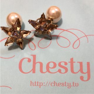 チェスティ(Chesty)のchestyイヤリング(イヤリング)