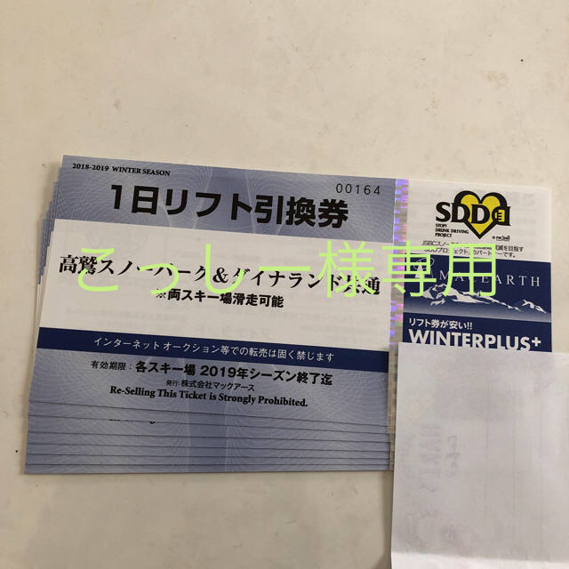 高鷲スノーパーク&ダイナランド共通リフト券6枚施設利用券