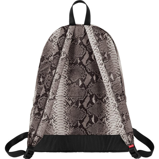 Supreme/The North Face Snake Day Pack