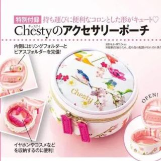 チェスティ(Chesty)のChesty アクセサリーポーチ(ポーチ)