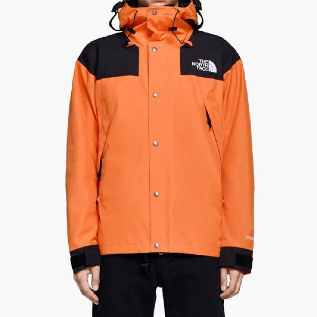 専用 the north face 1990 mountain jacket