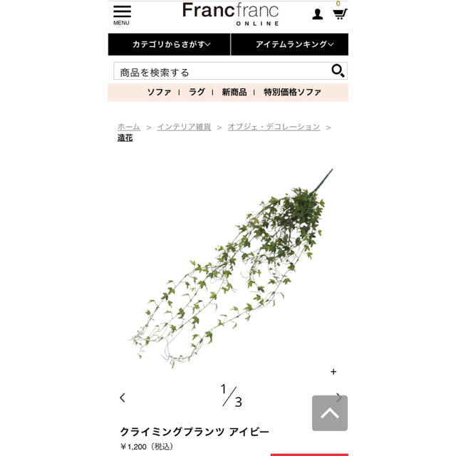 Francfranc(フランフラン)のクライミングプランツ  アイビー ハンドメイドのフラワー/ガーデン(その他)の商品写真