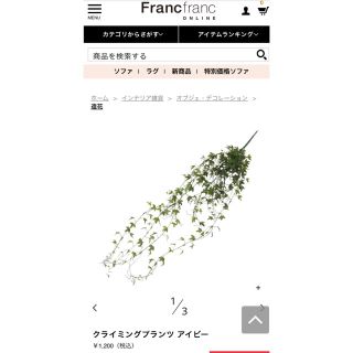 フランフラン(Francfranc)のクライミングプランツ  アイビー(その他)