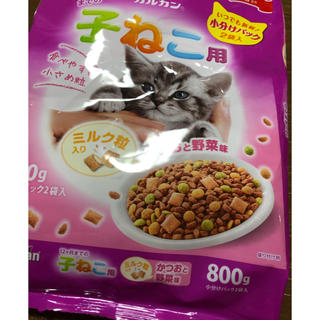 子猫のご飯 カルカン&銀のスプーン(ペットフード)