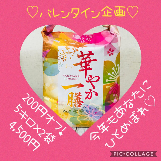 バレンタイン企画☆宮城県産ひとめぼれ5キロ×2袋 食品/飲料/酒の食品(米/穀物)の商品写真