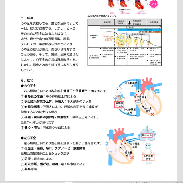 ⛔️超増量版⛔️記録が楽になる 看護実習★お役立ち資料(看護過程) エンタメ/ホビーのCD(CDブック)の商品写真