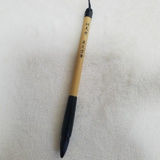 ニンテンドーDS(ニンテンドーDS)の筆型タッチペン☆未使用(その他)