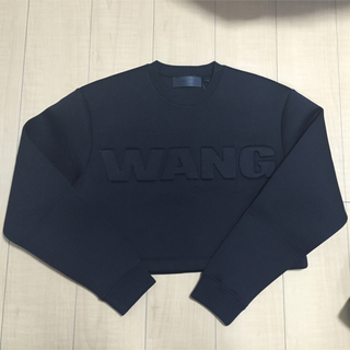 アレキサンダーワン(Alexander Wang)のｱﾚｷｻﾝﾀﾞｰﾜﾝ ×H&Mコラボ(トレーナー/スウェット)