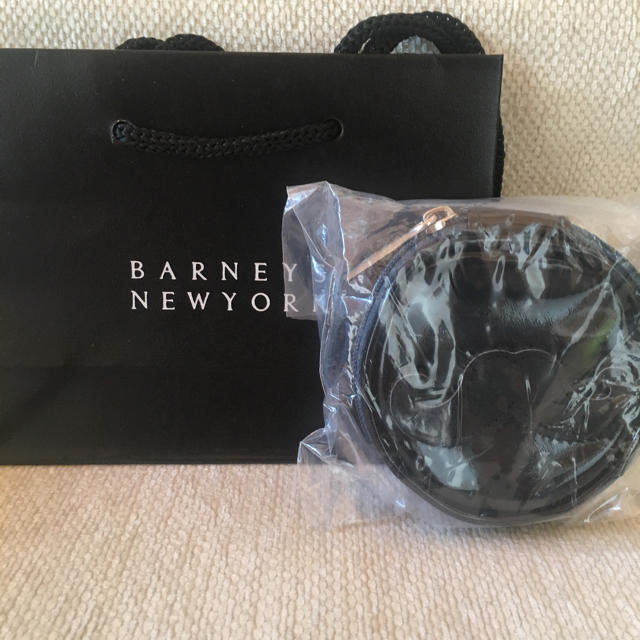 BARNEYS NEW YORK(バーニーズニューヨーク)の☆ ☆BARNEYS NEWYORK バレンタインポーチ・チョコレート☆☆ レディースのファッション小物(ポーチ)の商品写真