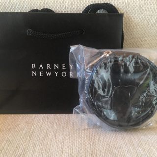 バーニーズニューヨーク(BARNEYS NEW YORK)の☆ ☆BARNEYS NEWYORK バレンタインポーチ・チョコレート☆☆(ポーチ)