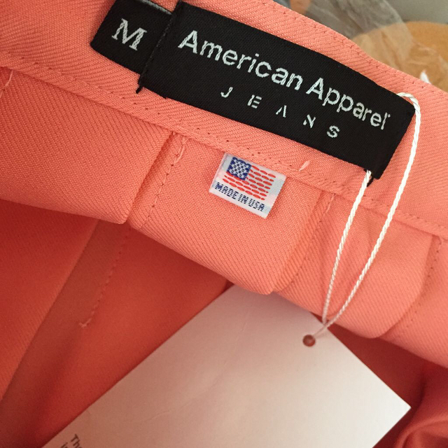 American Apparel(アメリカンアパレル)のぱすてるぷりーつすかーと レディースのスカート(ミニスカート)の商品写真