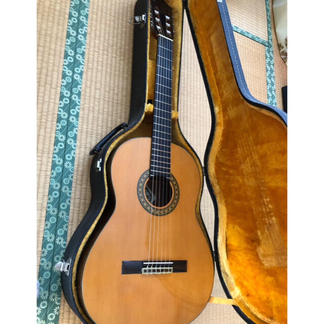 Fernandes(フェルナンデス)のクラシックギター  GC20 お値下しました！ 楽器のギター(クラシックギター)の商品写真