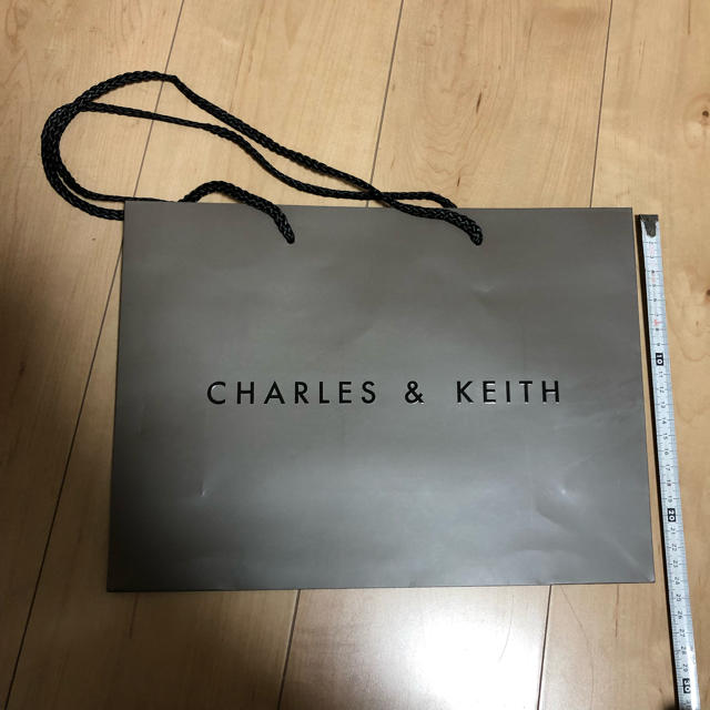 Charles and Keith(チャールズアンドキース)のCHARlES & KEITH ショップバッグ 袋 レディースのバッグ(ショップ袋)の商品写真