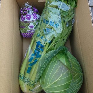 田舎のおばぁ様専用(野菜)