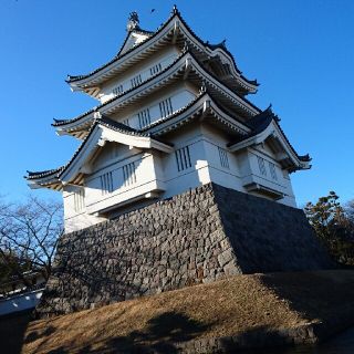 アラシ(嵐)の（写真）埼玉県行田市　忍城(写真)