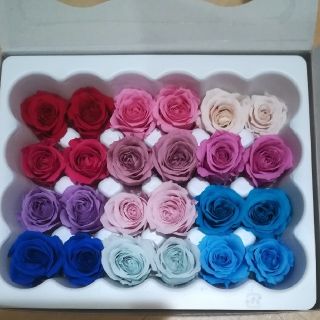 rika様専用　セール中♡薔薇 ビビアン♡プリザーブド(プリザーブドフラワー)