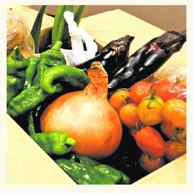 お野菜セットJ  食品/飲料/酒の食品(野菜)の商品写真