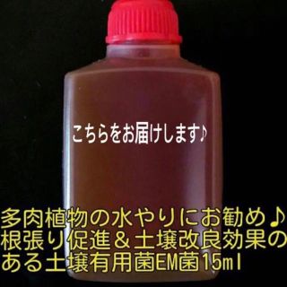 多肉に効果あり根張り抜群‼︎土壌改良にオススメ^_^ EM菌 お試し15ml(その他)