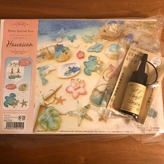 レジン スペシャルボックス ハワイアン 宇宙
