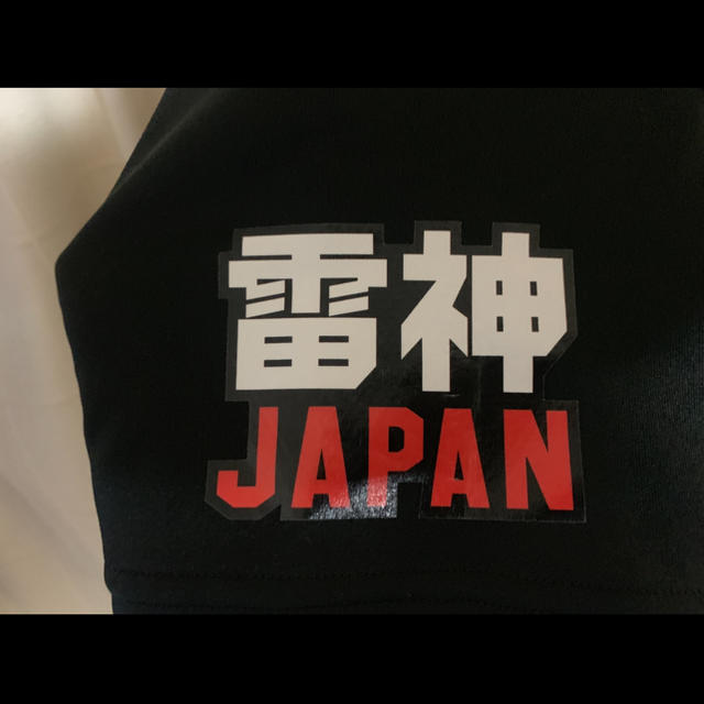 DESCENTE(デサント)のDESCENTE デサント 空手 japan Tシャツ スポーツ/アウトドアのランニング(ウェア)の商品写真