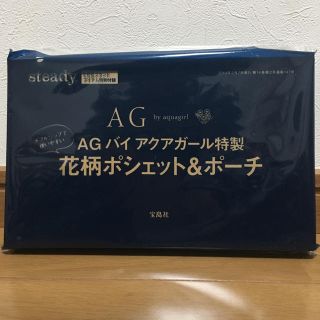 エージーバイアクアガール(AG by aquagirl)のsteady 2月号 特別付録(ポーチ)