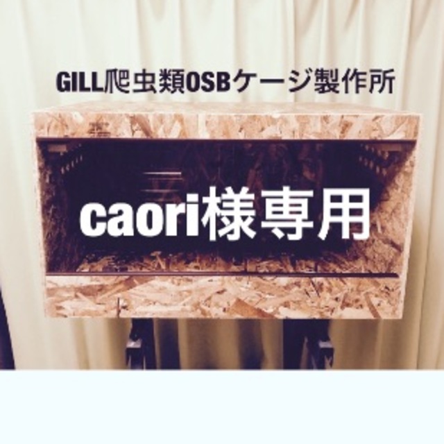 爬虫類 木製ケージ caori様専用 その他のペット用品(爬虫類/両生類用品)の商品写真