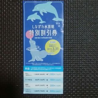 しながわ水族館　特別割引券　1枚(水族館)