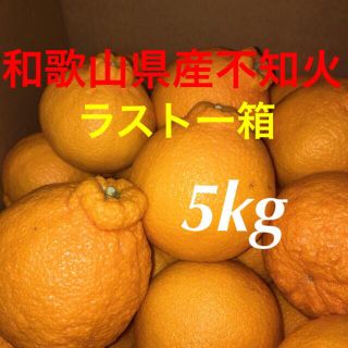 和歌山県産不知火5kg(フルーツ)