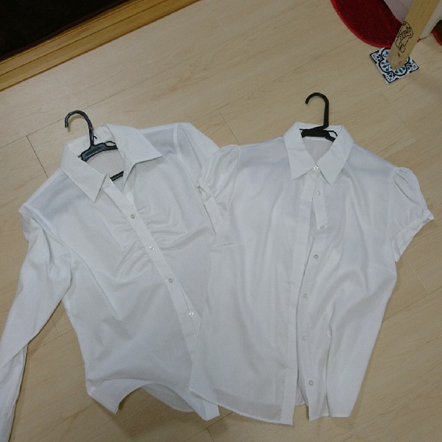 リクルート シャツset レディースのトップス(シャツ/ブラウス(長袖/七分))の商品写真