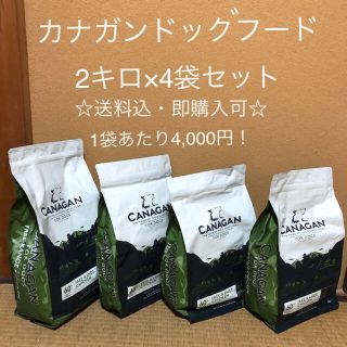 🐶 カナガン ドッグフード 2キロ×4袋 セット 🐶(ペットフード)