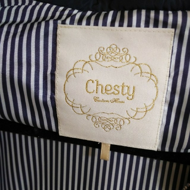 Chesty(チェスティ)のチェスティ ロングダウンコート レディースのジャケット/アウター(ダウンコート)の商品写真