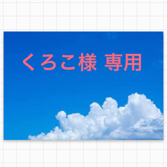 くろこ様 専用 売れ筋がひ新作！ alala.ci-メルカリは誰でも安心して